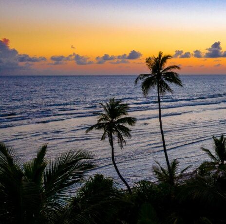 Barati Gharati Listing Location Taxonomy Goa