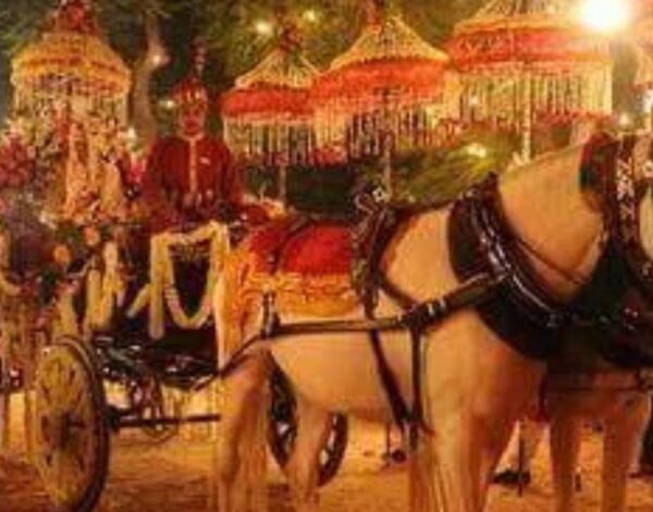 Baggi Wala Listing Category New Durga band ( ghodi baggi punjabi dhol) baratigharati.com - Barati Gharati