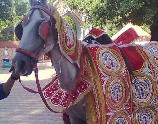 Mangal Brass Band-Best band in thane