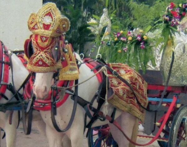 Gautam Event Pvt Ltd