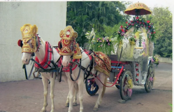 Gautam Event Pvt Ltd