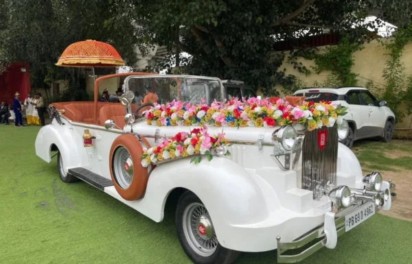 Taj Band – Tagore Garden