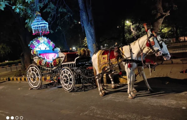 Netrapal ghodi baggi wala