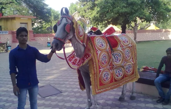 Mangal Brass Band-Best band in thane