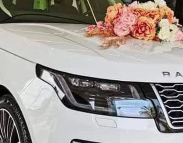 Zubin’s Royal Fleet